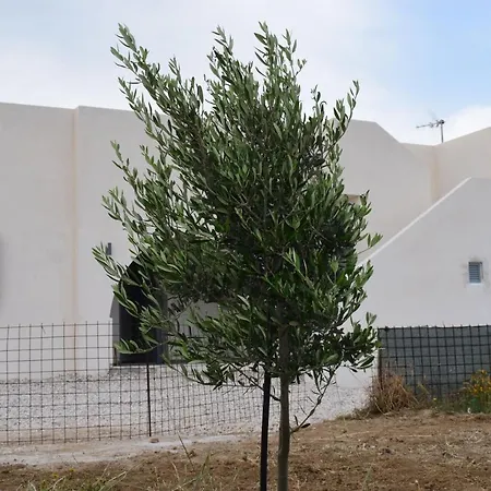 Ktima Panagia Lägenhet *